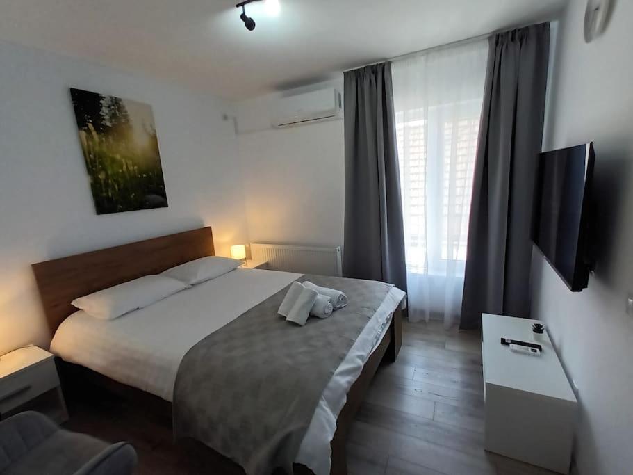 Old Town Studio 2 Apartment Nr 4 Baia Mare Exterior foto